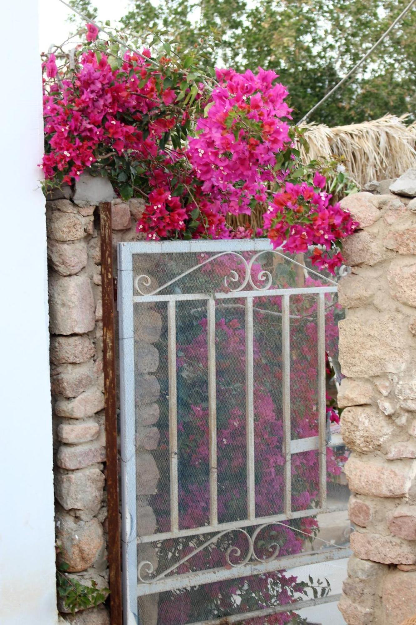 Sinai Old Spices B&B Šarm aš-Šajch Pokoj fotografie